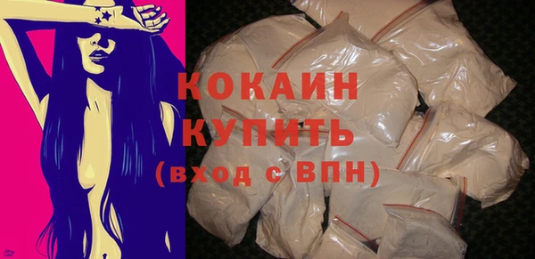 гидра Верея