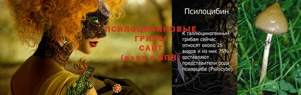 прущие грибы Верхний Тагил
