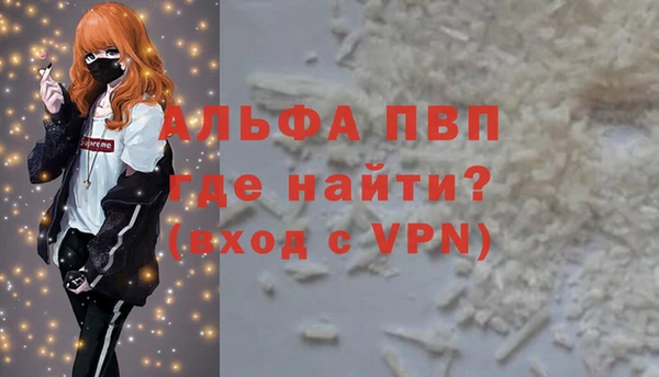 прущие грибы Верхний Тагил