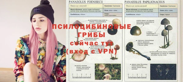 гидра Верея