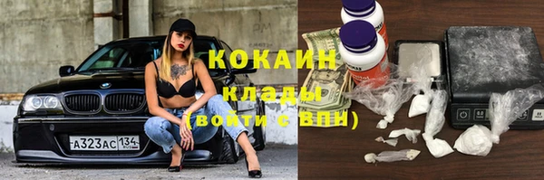 прущие грибы Верхний Тагил